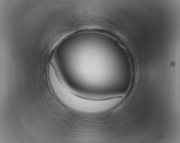 X0000114171361200910221641