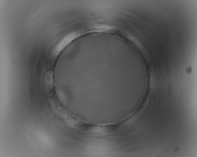 X0000114171362200910221641