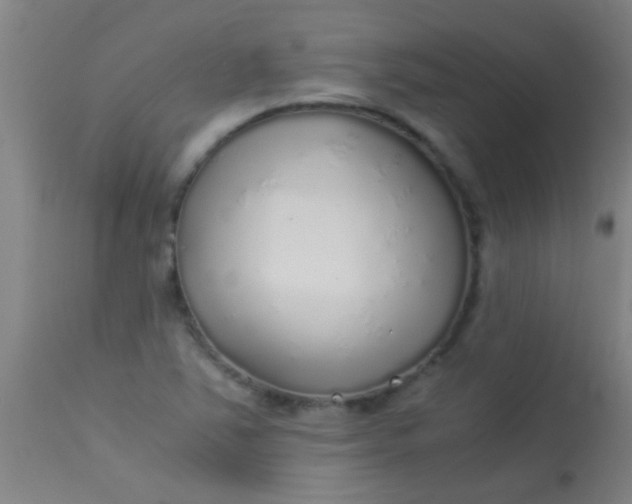 X0000114171363200910221641