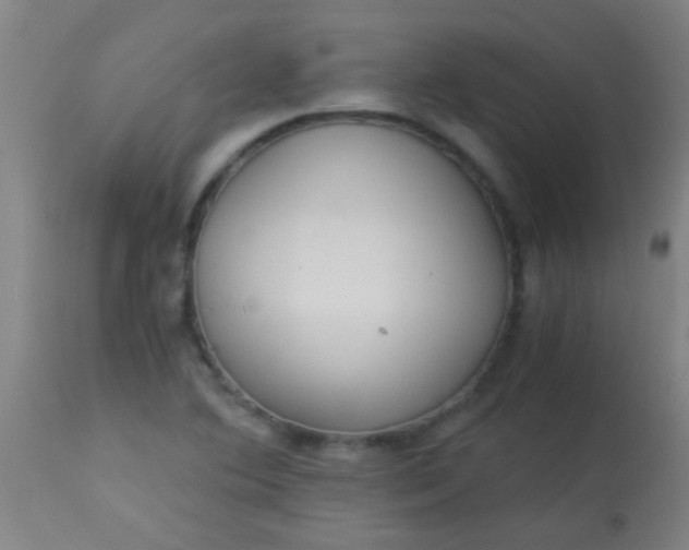 X0000114171364200910221641