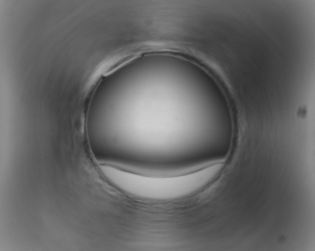 X0000114171365200910221641