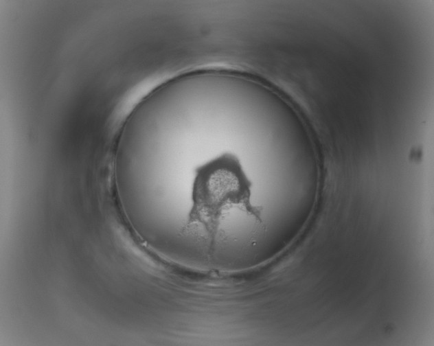 X0000114171367200910221641