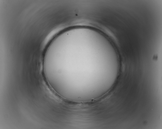 X0000114171368200910221641