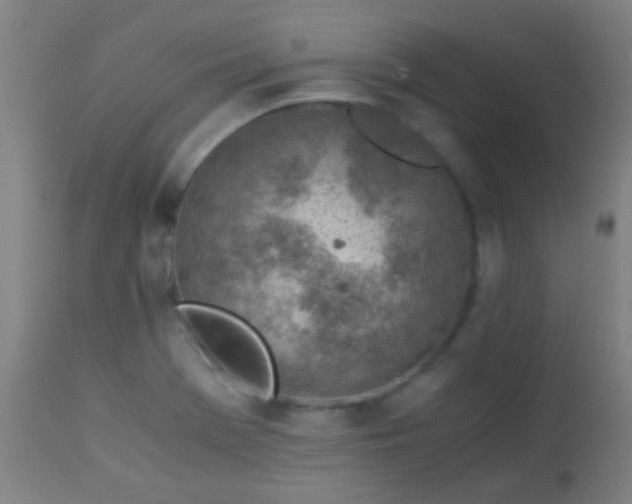 X0000114171369200910221641