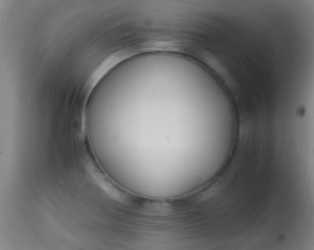 X0000114171370200910221641