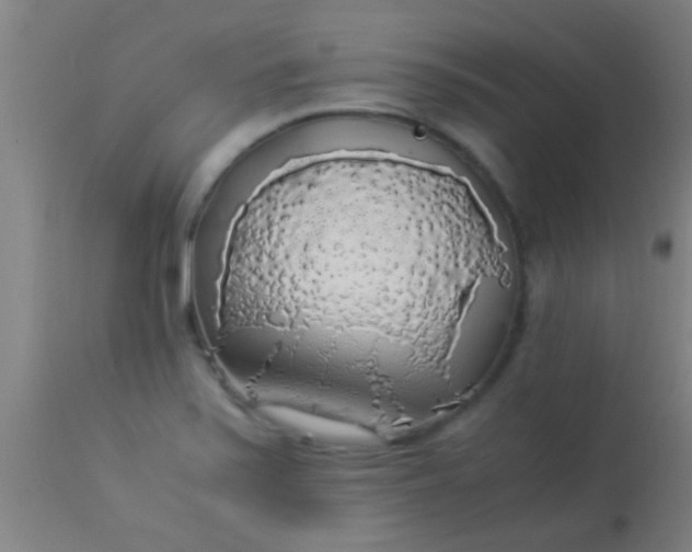 X0000114171371200910221641