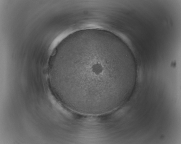 X0000114171373200910221641