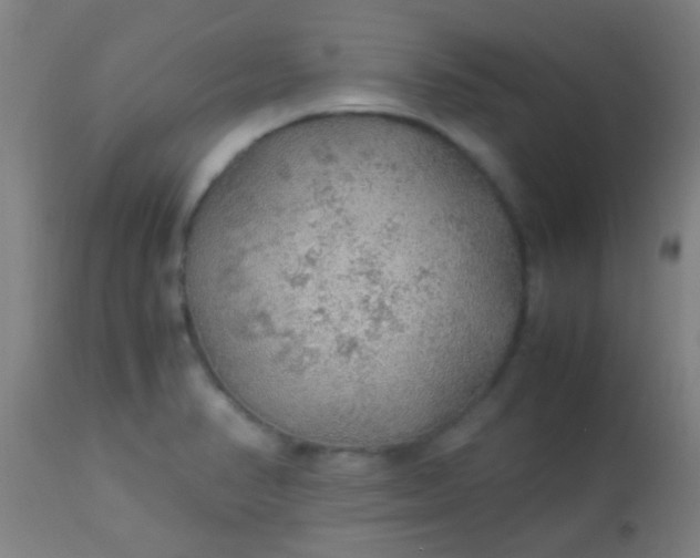 X0000114171374200910221641