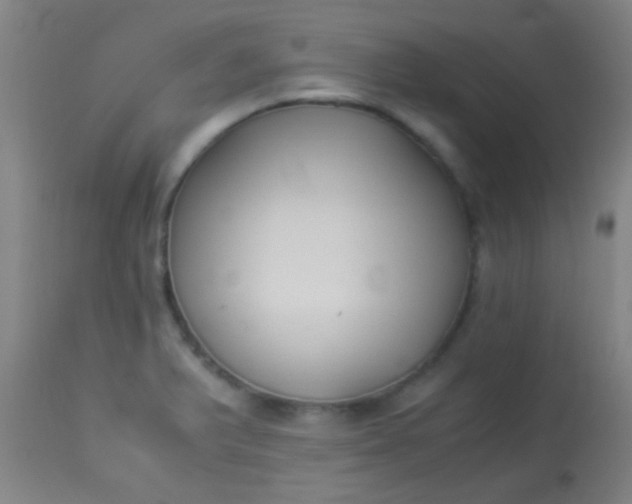 X0000114171375200910221641