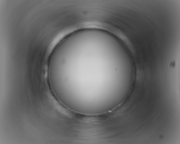 X0000114171376200910221641