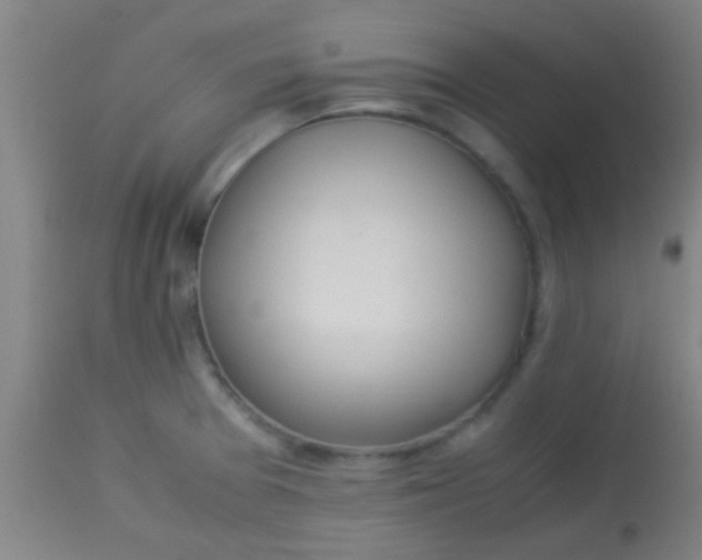 X0000114171377200910221641