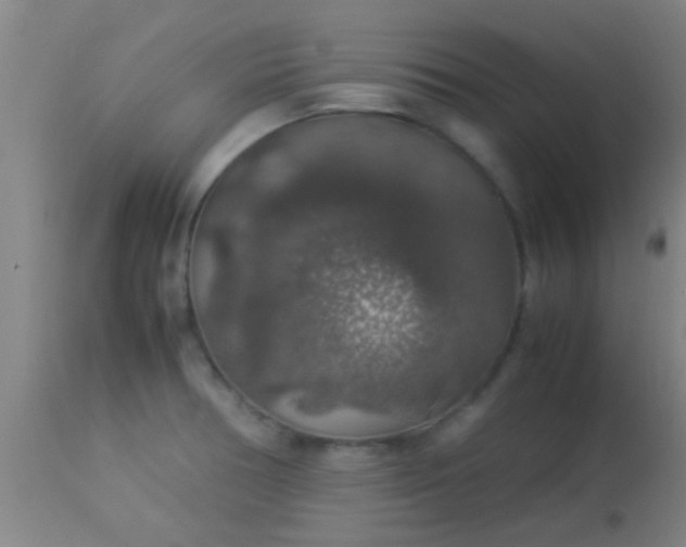 X0000114171378200910221641