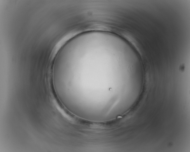 X0000114171379200910221641