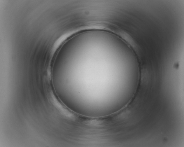 X0000114171380200910221641