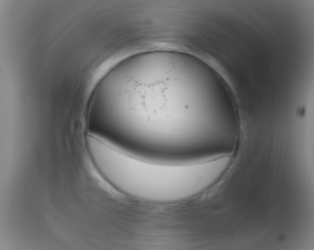 X0000114171381200910221641