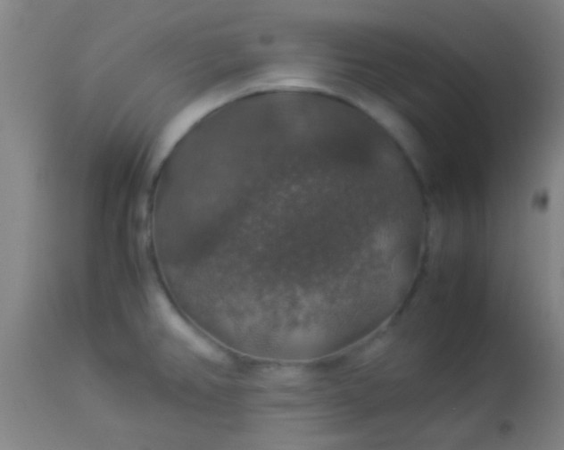 X0000114171382200910221641