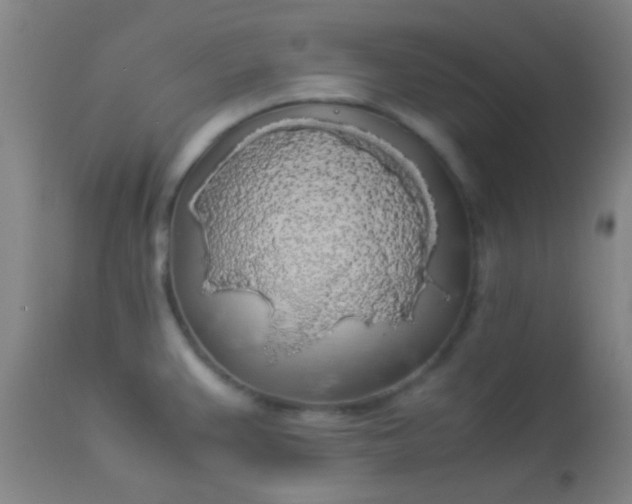 X0000114171383200910221641