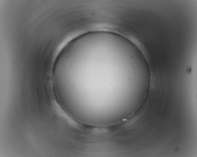 X0000114171384200910221641