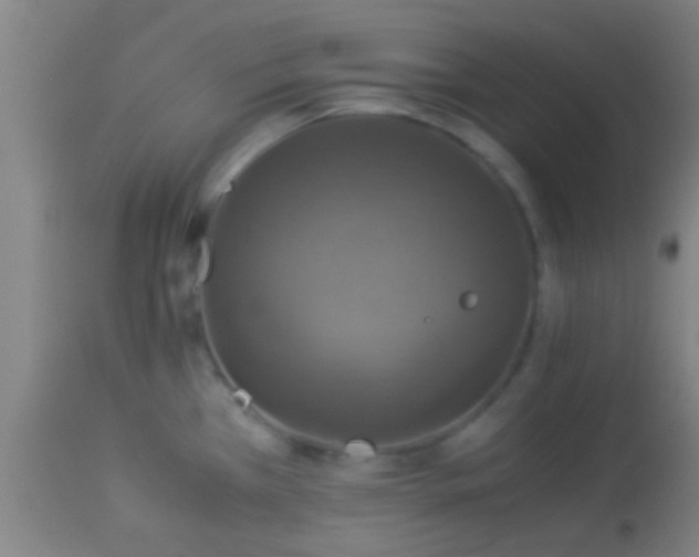 X0000114171385200910221641