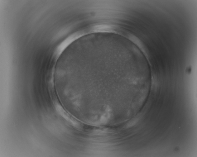 X0000114171386200910221641