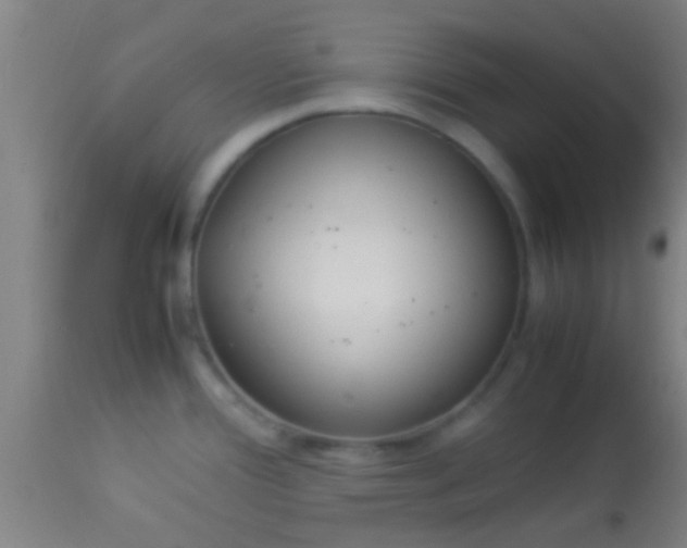 X0000114171388200910221641