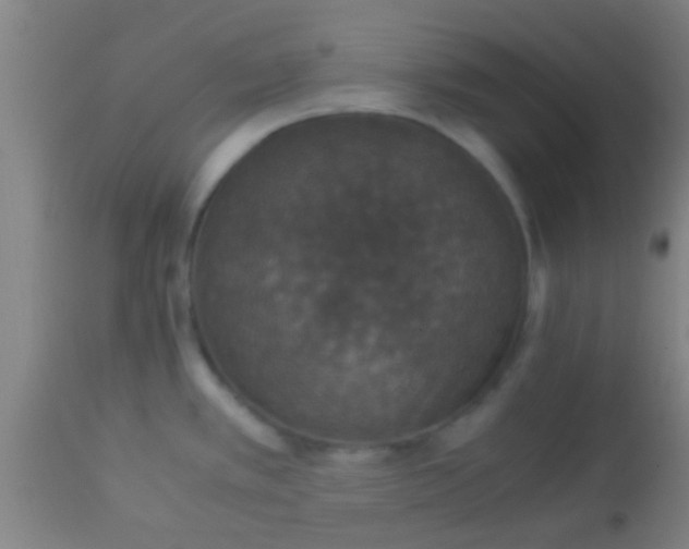 X0000114171389200910221641