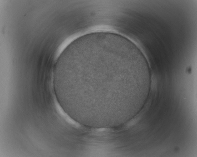 X0000114171390200910221641