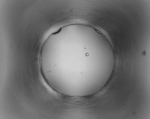 X0000114171391200910221641