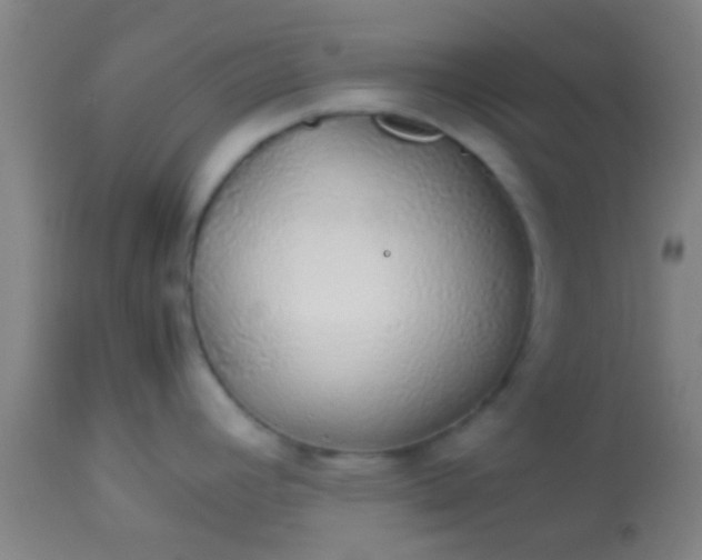 X0000114171392200910221641