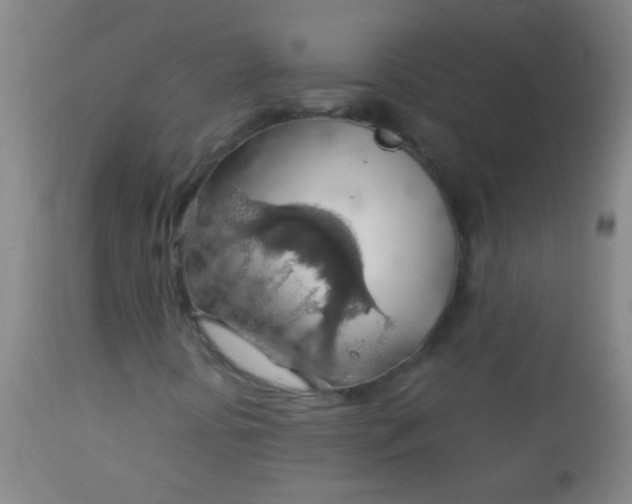 X0000114171394200910221640