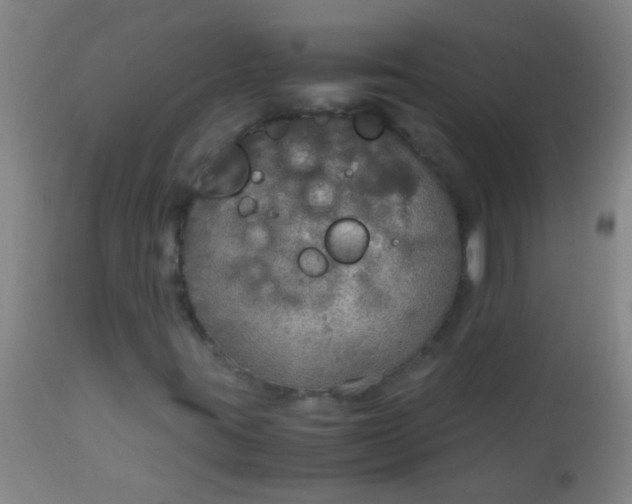 X0000114171395200910221640