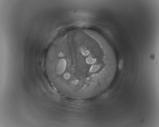 X0000114171396200910221640