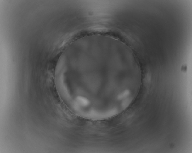 X0000114171397200910221640