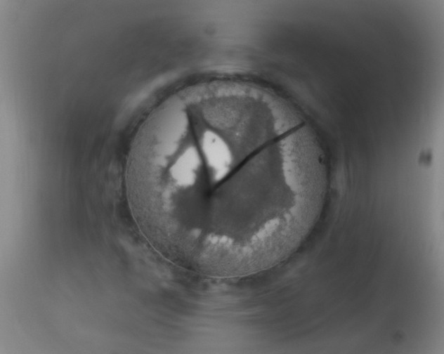 X0000114171398200910221640