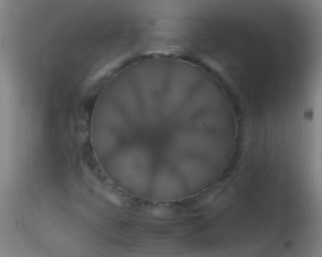 X0000114171399200910221640