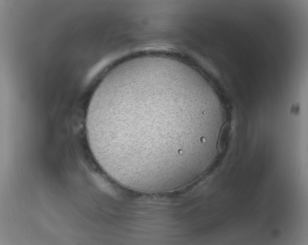 X0000114171400200910221640