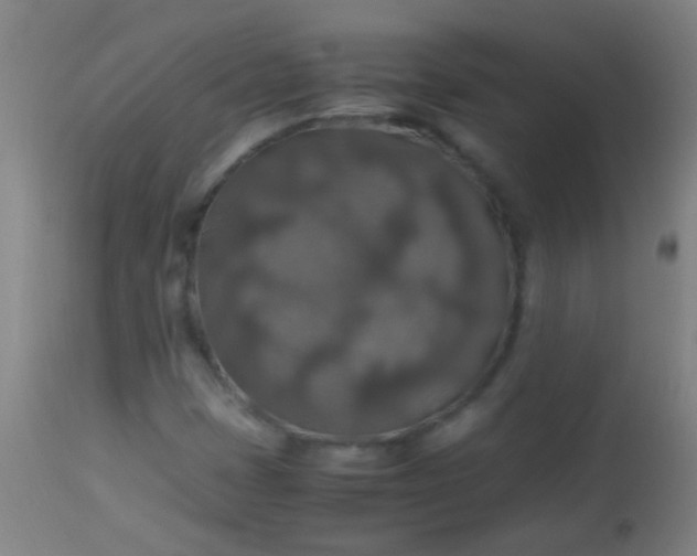 X0000114171401200910221640