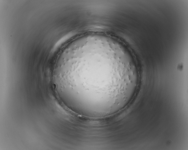 X0000114171402200910221640