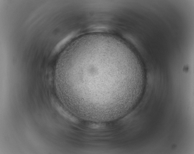 X0000114171403200910221640