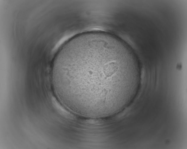 X0000114171404200910221640