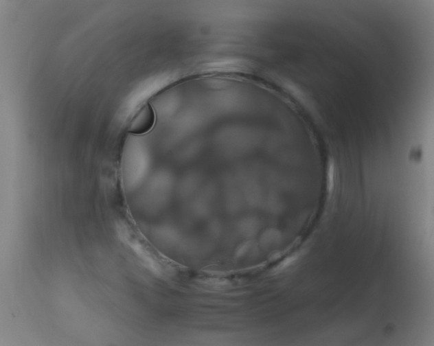 X0000114171405200910221640