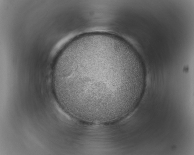 X0000114171406200910221640