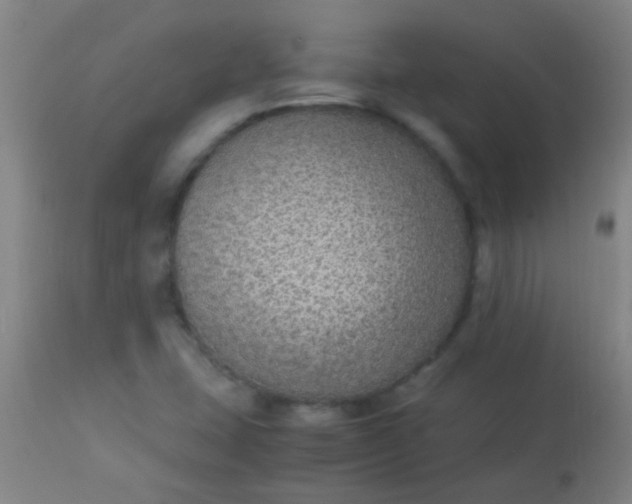 X0000114171407200910221640