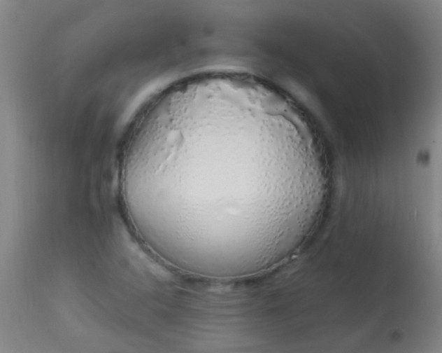 X0000114171408200910221640