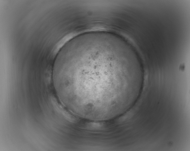 X0000114171409200910221640