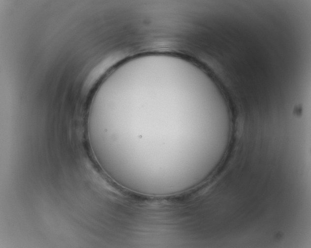 X0000114171410200910221640