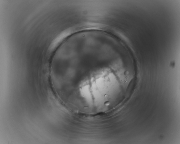 X0000114171411200910221640