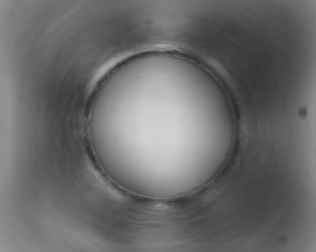 X0000114171412200910221640