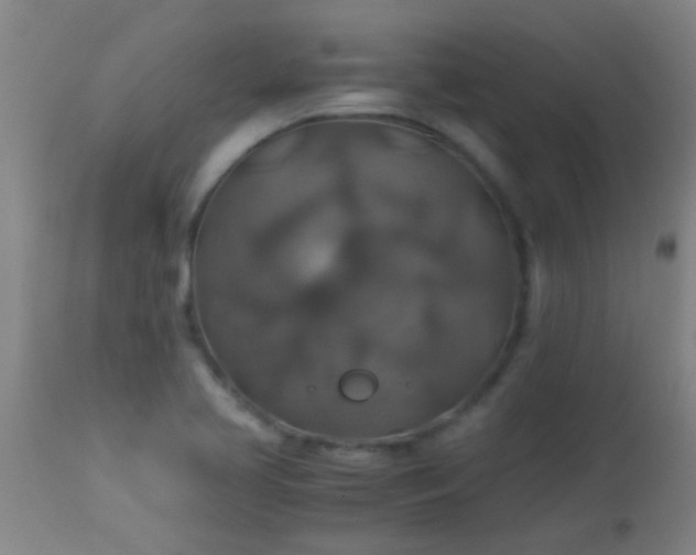 X0000114171413200910221640