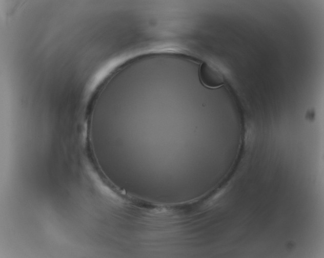 X0000114171414200910221640